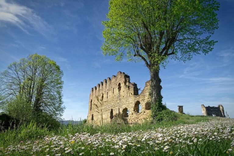 A ruined stone castle beside a tall tree in a field of daisies